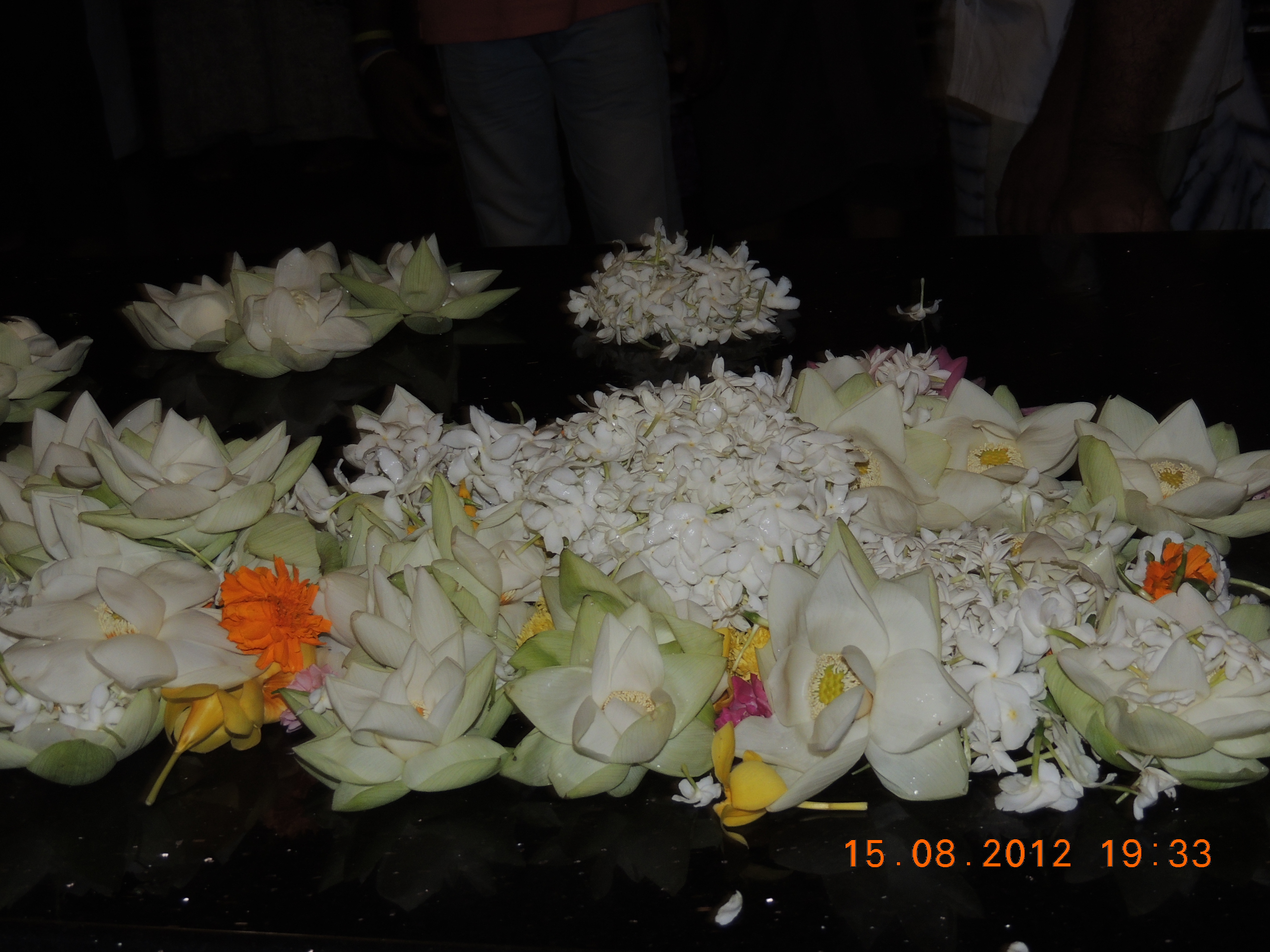 DSCN1391